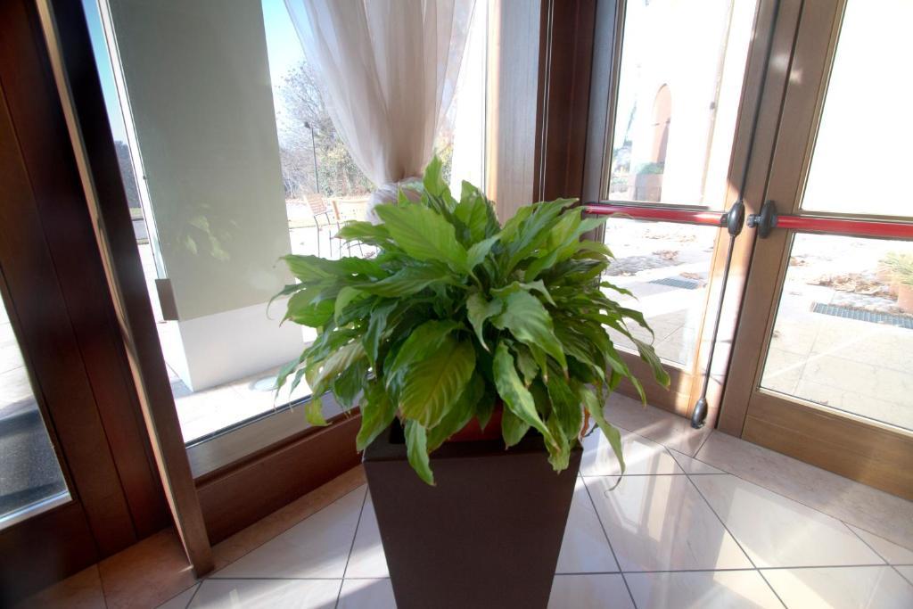 Alle Acque Hotel Lonigo